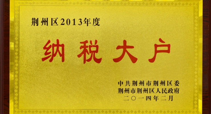 2013年納稅大戶.jpg